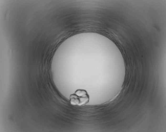 X0000115490136200911061010