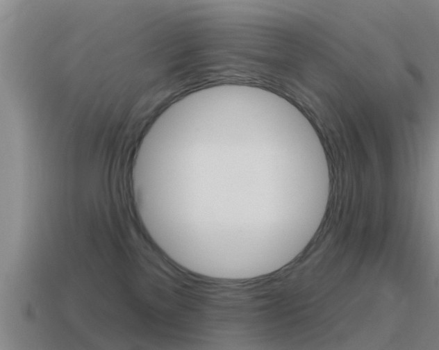 X0000115490137200911061010