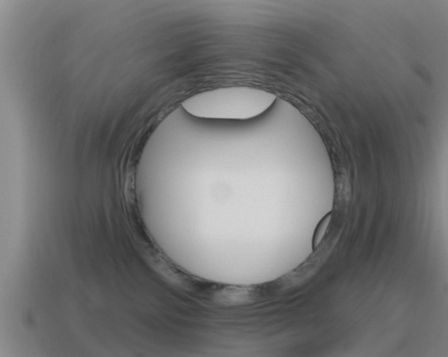 X0000115490138200911061010