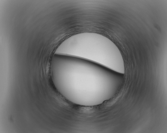 X0000115490139200911061010