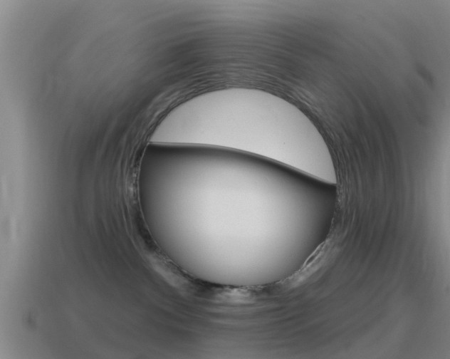 X0000115490140200911061010