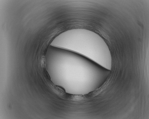 X0000115490141200911061010