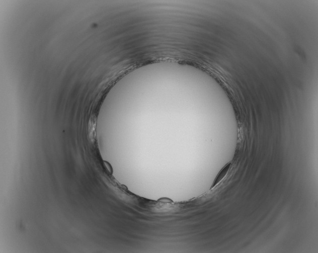 X0000115490142200911061010