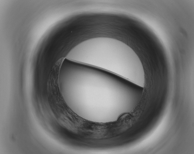 X0000115490143200911061010