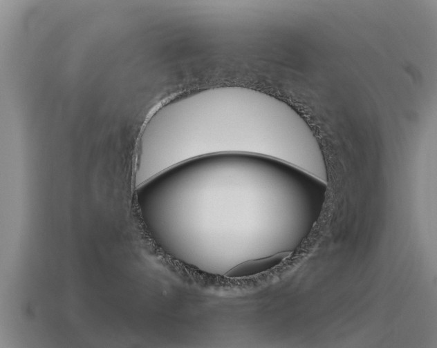 X0000115490144200911061010