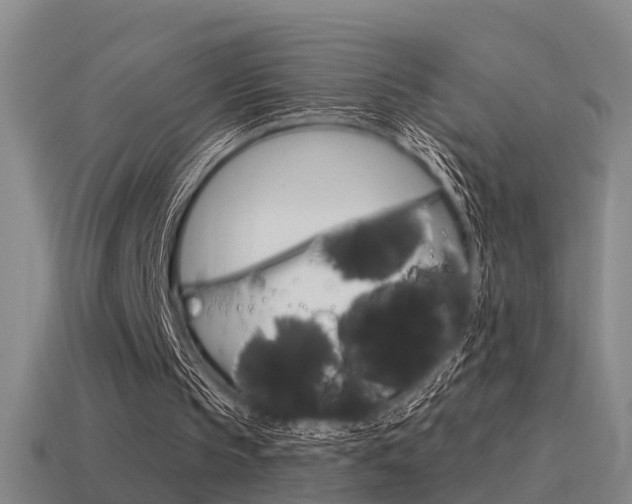 X0000115490145200911061009