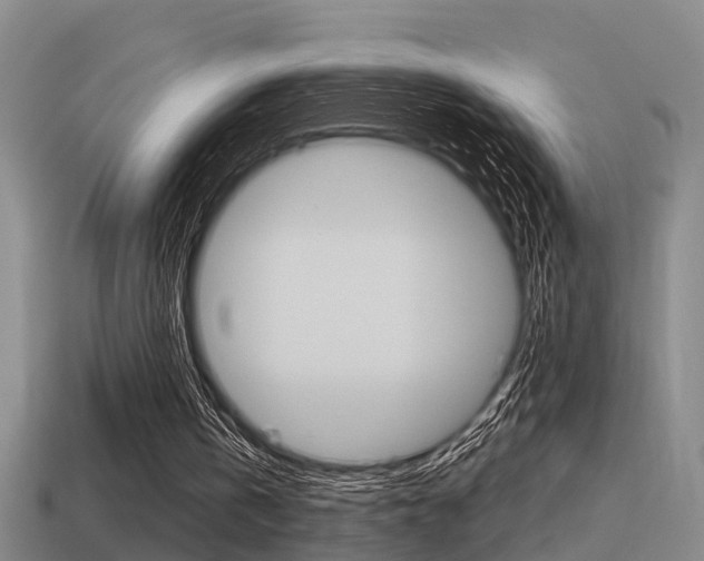 X0000115490146200911061009