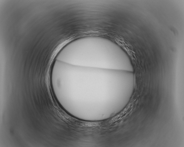 X0000115490147200911061009