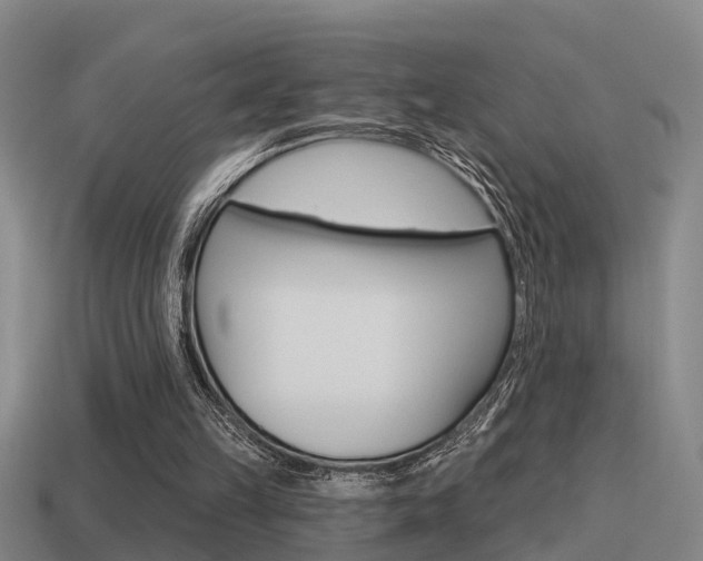 X0000115490149200911061009