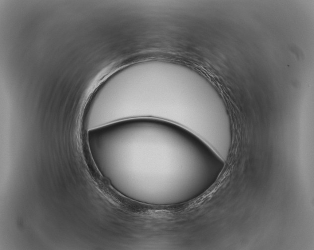 X0000115490150200911061009