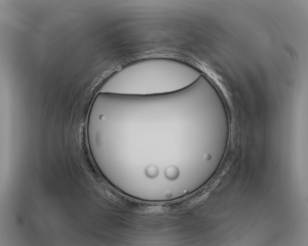 X0000115490153200911061009