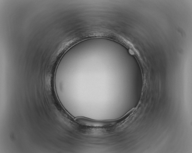 X0000115490154200911061009
