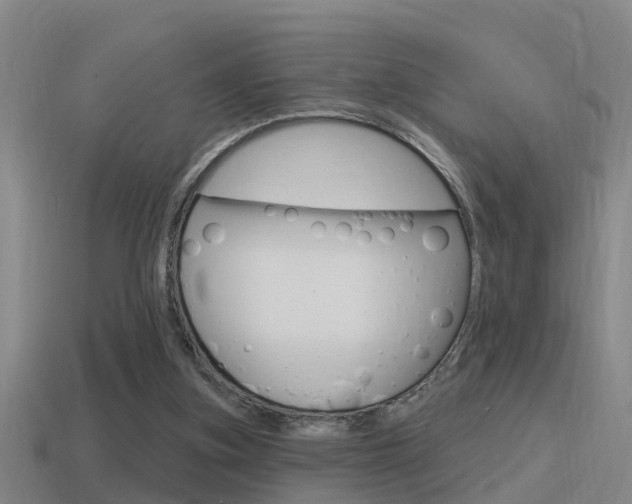 X0000115490155200911061009