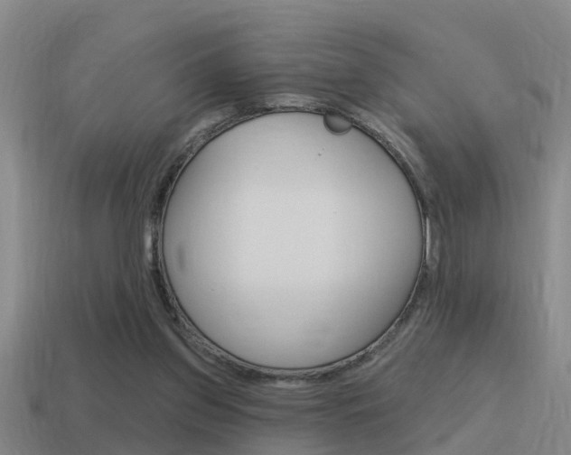 X0000115490157200911061009