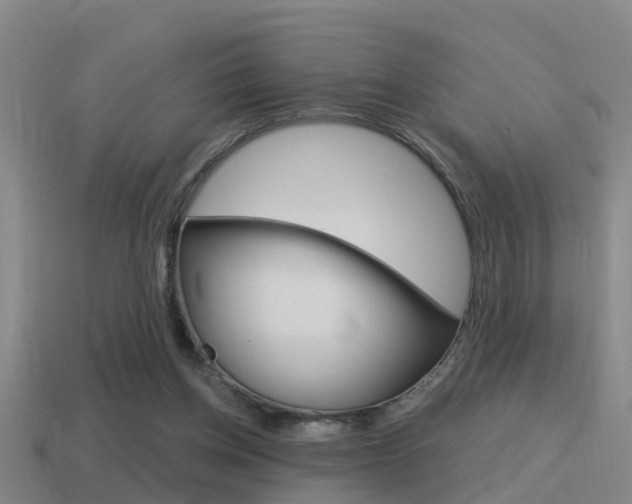 X0000115490158200911061009