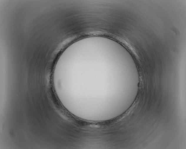 X0000115490159200911061009