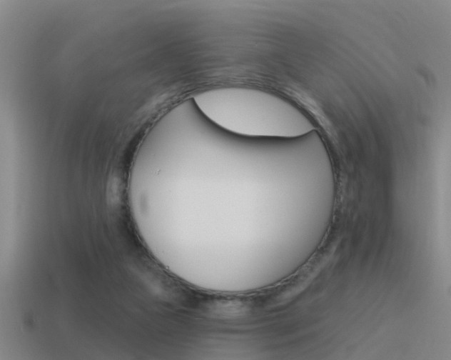 X0000115490161200911061009
