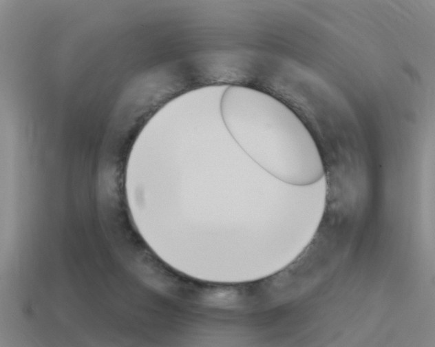 X0000115490162200911061009
