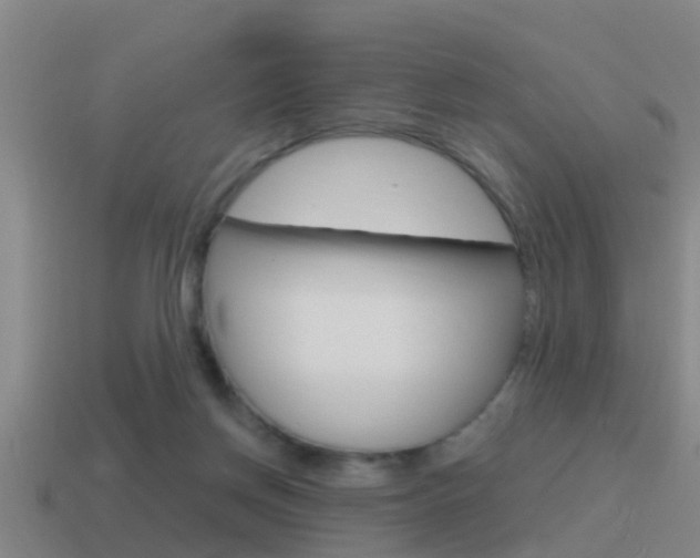 X0000115490166200911061009