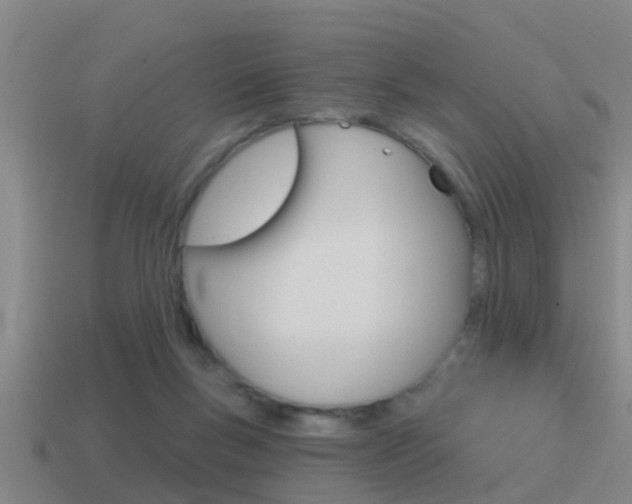 X0000115490167200911061009