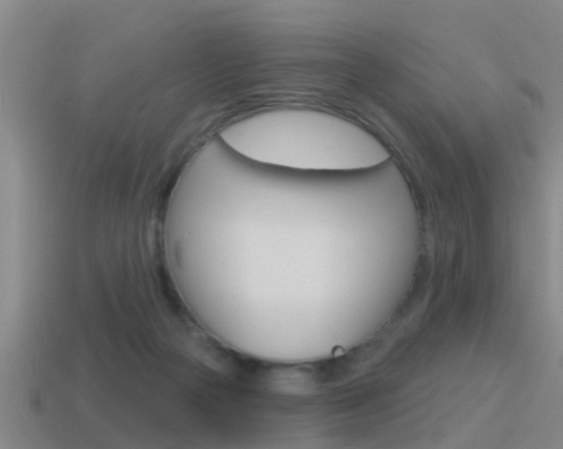 X0000115490169200911061009