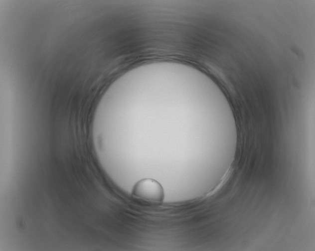 X0000115490170200911061009