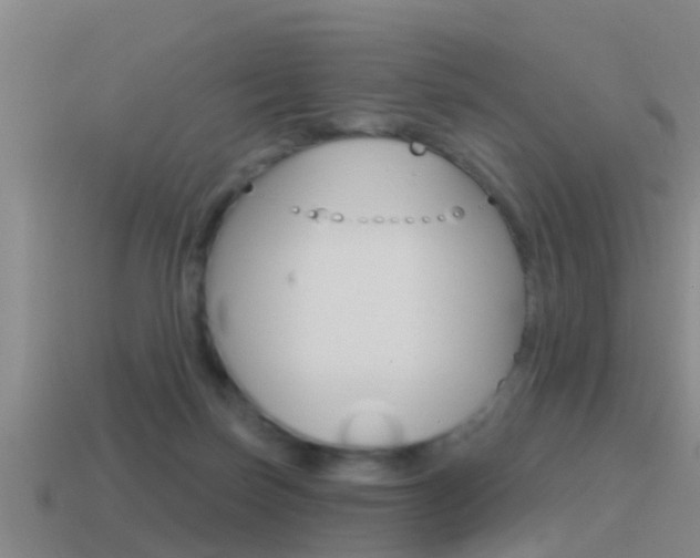 X0000115490171200911061009