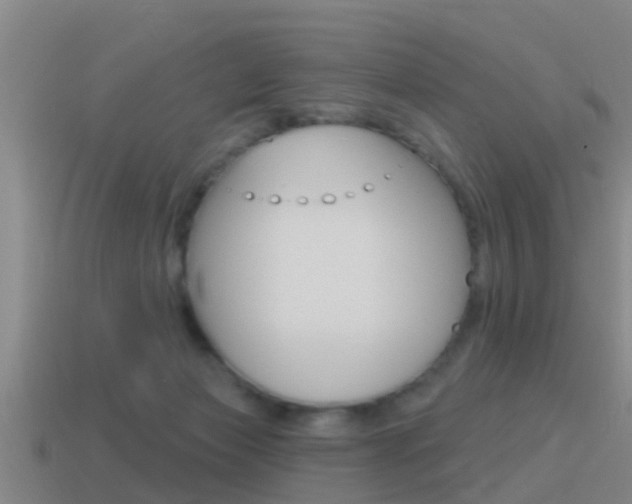 X0000115490173200911061009