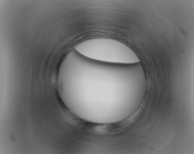 X0000115490178200911061009