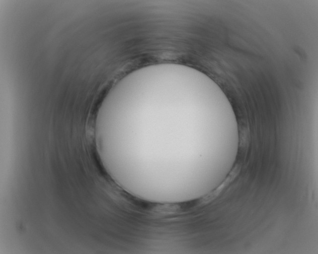 X0000115490179200911061009