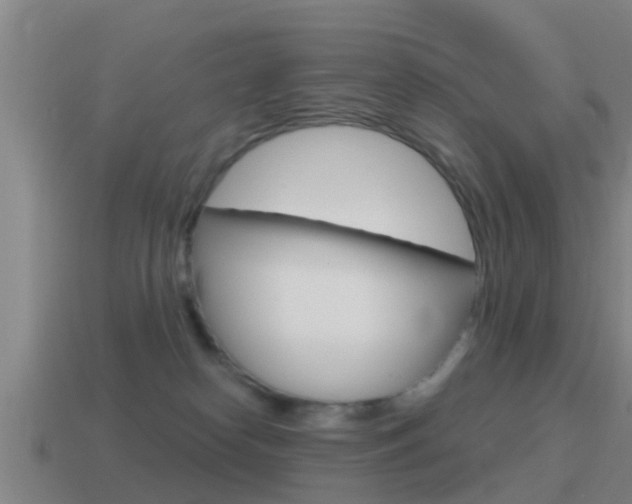 X0000115490182200911061009