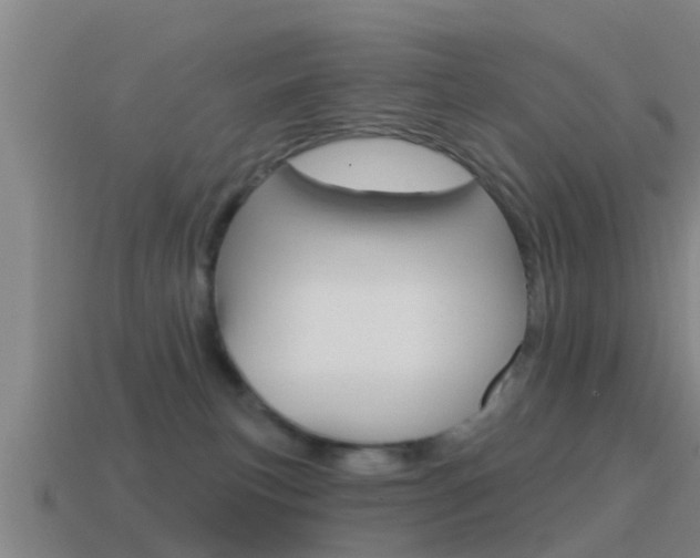 X0000115490183200911061009