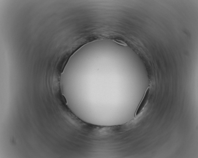 X0000115490186200911061009