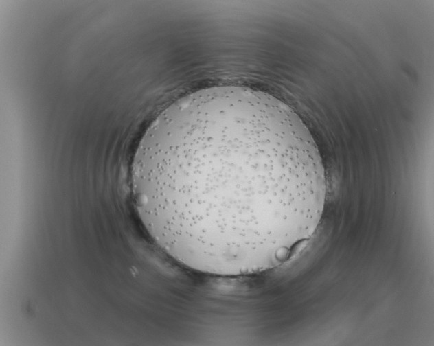 X0000115490187200911061009