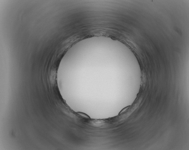 X0000115490189200911061009