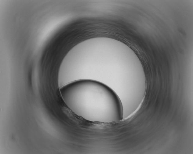 X0000115490190200911061009
