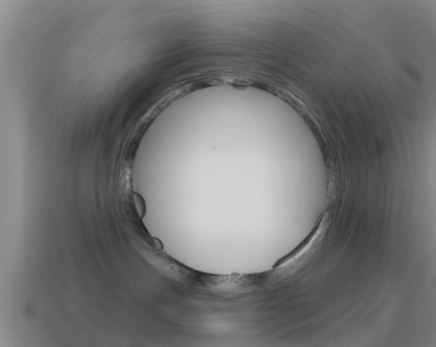 X0000115490191200911061009