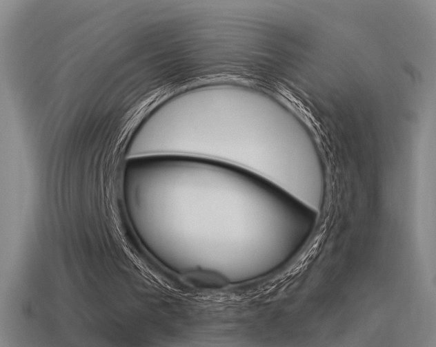 X0000115490193200911061009
