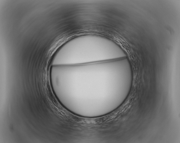 X0000115490194200911061009