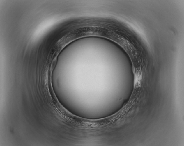 X0000115490195200911061009