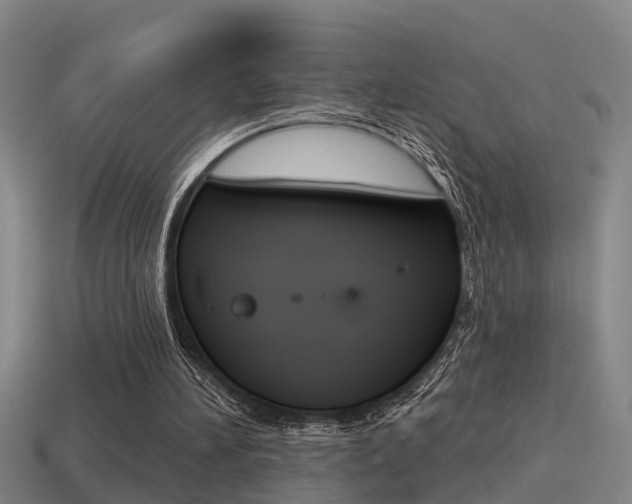 X0000115490196200911061009