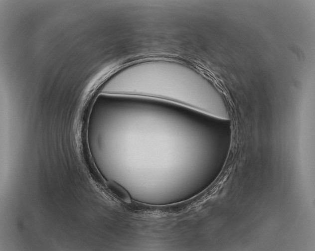 X0000115490197200911061009