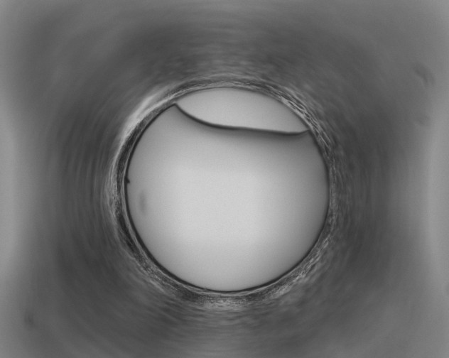X0000115490198200911061009
