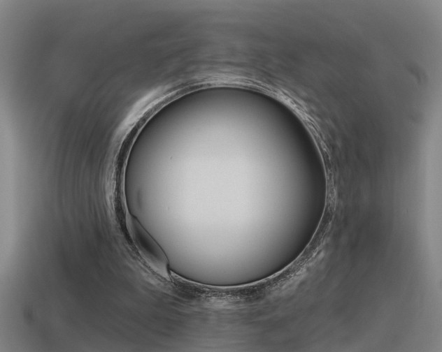 X0000115490199200911061009