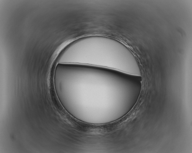 X0000115490200200911061009