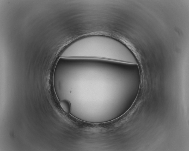 X0000115490201200911061009