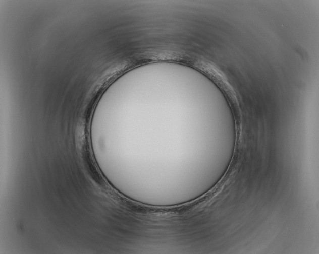 X0000115490202200911061009