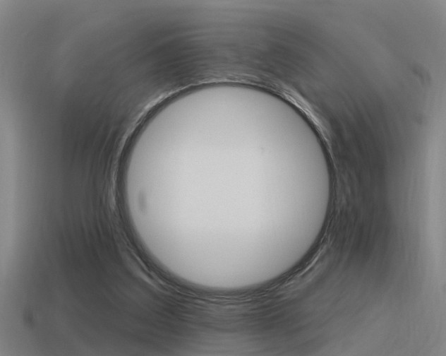 X0000115490203200911061009