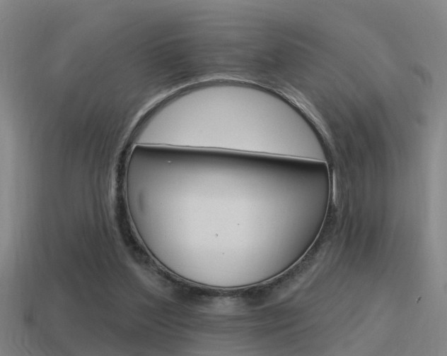 X0000115490204200911061009