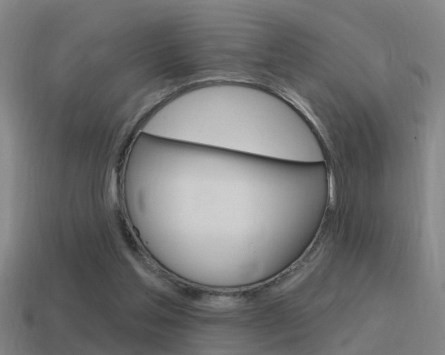 X0000115490205200911061009
